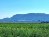 20240908_093307.jpg