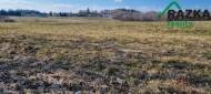 Prodej pozemku , zemdlsk pda, Hale (okres Tachov)