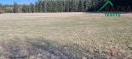 Prodej pozemku , zemdlsk pda, Chodsk jezd, r (okres Tachov)