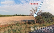 Prodej pozemku , zemdlsk pda, Slan, Kvc (okres Kladno)