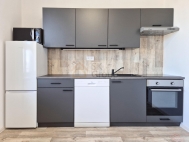 Pronjem bytu 1+1, 0 m2, OV, Karlovy Vary, Doub, ul. K Linhartu - exkluzivn
