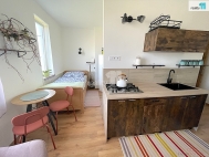 Pronjem bytu 1+kk, 19 m2, OV, Stanovice, Hlinky (okres Karlovy Vary)