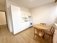 Pronjem bytu 1+1, 40 m2, OV, Kralupy nad Vltavou (okres Mlnk), ul. Pemyslova