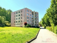 Prodej bytu 1+kk, 29 m2, OV, Vidov (okres esk Budjovice) - exkluzivn