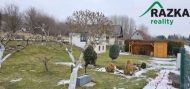 Prodej rekreanho objektu, Tachov
