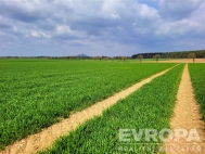 Prodej pozemku , zemdlsk pda, ist (okres Mlad Boleslav)