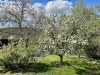 IMG_9160.jpg