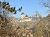 IMG_8221.jpg