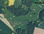 Prodej pozemku , zemdlsk pda, Plan (okres Tachov)