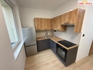 Pronjem bytu 1+1, 31 m2, OV, esk Budjovice, esk Budjovice 3, ul. Prbn