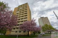 Prodej bytu garsonira, 0 m2, OV, Litvnov, Horn Litvnov (okres Most), ul. Mosteck - exkluzivn
