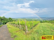 Prodej pozemku , zvltn, Nmiky (okres Beclav)