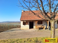 Prodej, Milotice (okres Hodonn)