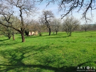 Prodej rekreanho objektu, Pontovice (okres Brno-venkov)