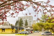 Prodej bytu 3+kk, 0 m2, OV, Pardubice, Polabiny, ul. Blehradsk