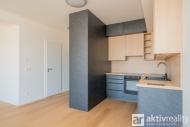 Pronjem bytu 1+kk, 40 m2, OV, Praha 7, Holeovice, ul. V hji