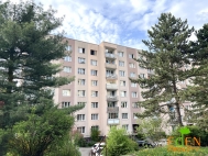 Pronjem bytu 1+kk, 25 m2, OV, Plze, Doubravka (okres Plze-msto), ul. Stanin - exkluzivn