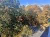 IMG20221017145721.jpg