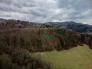 Prodej pozemku , les, Str nad Oh (okres Karlovy Vary)