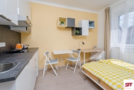 Pronjem bytu 1+kk, 0 m2, DV, Praha 4, Kr, ul. eransk