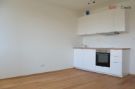 Pronjem bytu 1+kk, 27 m2, OV, Praha 2, Vinohrady, ul. Peruck - exkluzivn