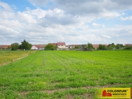 Prodej pozemku , zemdlsk pda, Brod nad Dyj (okres Beclav)