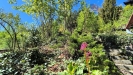 IMG_20250427_113511.jpg
