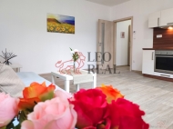 Pronjem bytu 1+kk, 29 m2, OV, Pbor (okres Nov Jin), ul. Msteck