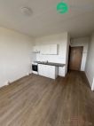 Prodej bytu 1+1, 0 m2, DV, Jirkov (okres Chomutov), ul. Na Borku