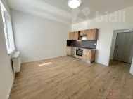 Prodej bytu 1+kk, 30 m2, OV, Ostrava, Pvoz (okres Ostrava-msto)