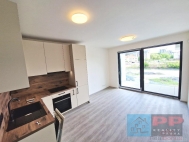 Pronjem bytu 1+kk, 0 m2, OV, Praha 3, ikov, ul. rmkov