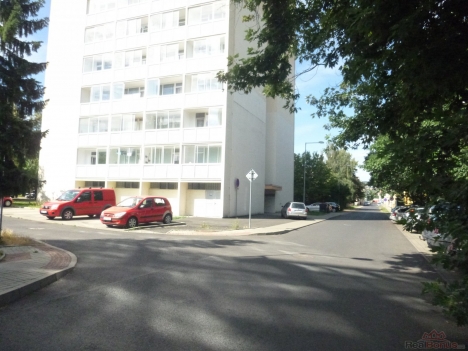 P1090224.JPG