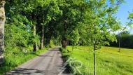 Prodej pozemku , uren k vstavb RD, Kapersk Hory (okres Klatovy)