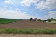 06.JPG