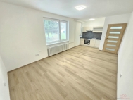 Pronjem bytu 1+kk, 0 m2, OV, Svitvka (okres Blansko), ul. koln
