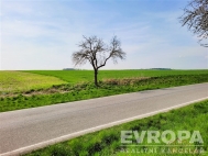 Prodej pozemku , zemdlsk pda, ist (okres Mlad Boleslav)