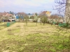 IMG_2993.jpeg