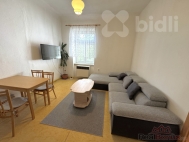 Pronjem bytu 2+1, 42 m2, OV, esk Budjovice, esk Budjovice 3, ul. Prask t.
