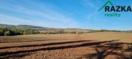 Prodej pozemku , zemdlsk pda, Lubenec, Libkovice (okres Louny)