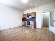 Prodej bytu 1+kk, 30 m2, OV, Ostrava, Pvoz (okres Ostrava-msto)