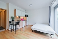 Pronjem bytu 1+kk, 24 m2, OV, Milovice, Mlad (okres Nymburk), ul. Armdn