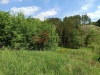 IMG_20250507_113400.jpg