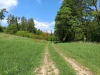IMG_20250507_113933.jpg