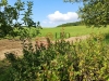 IMG_20240809_102504.jpg