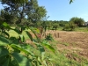 IMG_20240809_102854.jpg