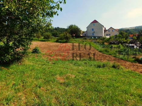 DSCN7638.JPG