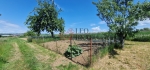 20250527_111728.jpg