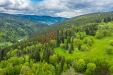 WE6A1800-HDR.jpg