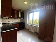 Prodej bytu 2+1, 56 m2, DV, Kopivnice (okres Nov Jin), ul. Pod Blou horou