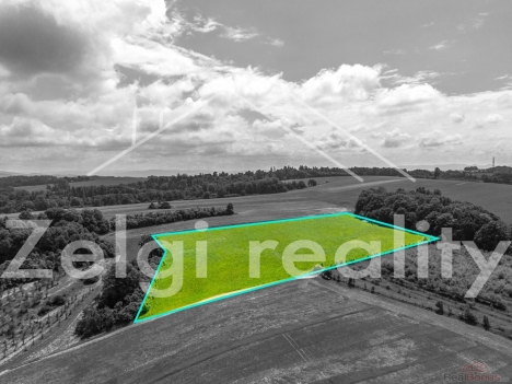 DJI_0923.jpg